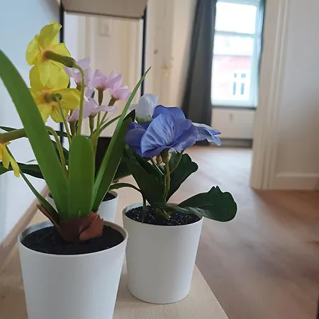 Grand Bright 2 Bedroom And 2 Bathroom In Randers